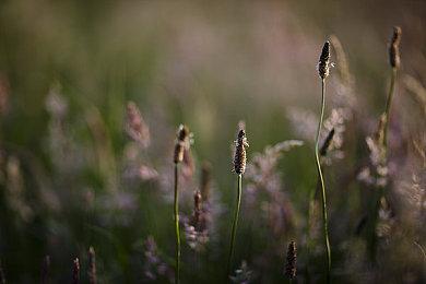 因玩家需求 《卧龙：苍天陨落》或推出PC试玩版